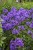 WhatsApp Image 2025-07-07 at 21.33.11 (1).jpeg